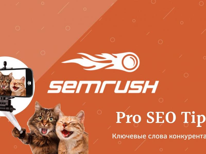 Ключевые слова для SEO